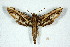  ( - BC-Hax5158)  @14 [ ] Unspecified (default): All Rights Reserved  Unspecified Unspecified