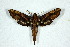  ( - BC-Hax5161)  @14 [ ] Unspecified (default): All Rights Reserved  Unspecified Unspecified