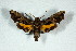  ( - BC-Hax5164)  @13 [ ] Unspecified (default): All Rights Reserved  Unspecified Unspecified