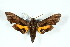  ( - BC-Hax5167)  @11 [ ] Unspecified (default): All Rights Reserved  Unspecified Unspecified
