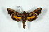  ( - BC-Hax5168)  @14 [ ] Unspecified (default): All Rights Reserved  Unspecified Unspecified