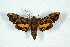  ( - BC-Hax5169)  @13 [ ] Unspecified (default): All Rights Reserved  Unspecified Unspecified