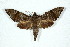  ( - BC-Hax5175)  @11 [ ] Unspecified (default): All Rights Reserved  Unspecified Unspecified