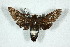  ( - BC-Hax5176)  @11 [ ] Unspecified (default): All Rights Reserved  Unspecified Unspecified