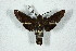  ( - BC-Hax5177)  @11 [ ] Unspecified (default): All Rights Reserved  Unspecified Unspecified