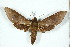  ( - BC-Hax5190)  @11 [ ] Unspecified (default): All Rights Reserved  Unspecified Unspecified