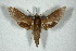 ( - BC-Hax5194)  @11 [ ] Unspecified (default): All Rights Reserved  Unspecified Unspecified
