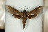 ( - BC-Hax5198)  @11 [ ] Unspecified (default): All Rights Reserved  Unspecified Unspecified