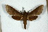  ( - BC-Hax5201)  @13 [ ] Unspecified (default): All Rights Reserved  Unspecified Unspecified