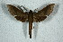  ( - BC-Hax5204)  @14 [ ] Unspecified (default): All Rights Reserved  Unspecified Unspecified