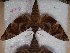  ( - BC-Hax5441)  @11 [ ] Unspecified (default): All Rights Reserved  Unspecified Unspecified