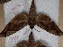  ( - BC-Hax5442)  @11 [ ] Unspecified (default): All Rights Reserved  Unspecified Unspecified