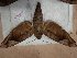  ( - BC-Hax5444)  @11 [ ] Unspecified (default): All Rights Reserved  Unspecified Unspecified