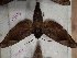  ( - BC-Hax5445)  @11 [ ] Unspecified (default): All Rights Reserved  Unspecified Unspecified