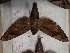  ( - BC-Hax5446)  @11 [ ] Unspecified (default): All Rights Reserved  Unspecified Unspecified