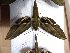  ( - BC-Hax5470)  @12 [ ] Unspecified (default): All Rights Reserved  Unspecified Unspecified