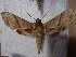  ( - BC-Hax5490)  @13 [ ] Unspecified (default): All Rights Reserved  Unspecified Unspecified