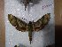  ( - BC-Hax5494)  @13 [ ] Unspecified (default): All Rights Reserved  Unspecified Unspecified