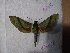  ( - BC-Hax5505)  @11 [ ] Unspecified (default): All Rights Reserved  Unspecified Unspecified