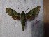  ( - BC-Hax5507)  @11 [ ] Unspecified (default): All Rights Reserved  Unspecified Unspecified