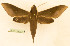  ( - BC-Hax5524)  @11 [ ] CC-by (2023) Jean Haxaire Research collection of Jean Haxaire