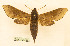  ( - BC-Hax5557)  @11 [ ] CC-by (2023) Jean Haxaire Research collection of Jean Haxaire