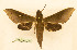  ( - BC-Hax5559)  @11 [ ] CC-by (2023) Jean Haxaire Research collection of Jean Haxaire