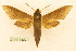  ( - BC-Hax5564)  @11 [ ] CC-by (2023) Jean Haxaire Research collection of Jean Haxaire