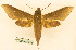  ( - BC-Hax5565)  @11 [ ] CC-by (2023) Jean Haxaire Research collection of Jean Haxaire
