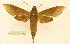  ( - BC-Hax5570)  @11 [ ] CC-by (2023) Jean Haxaire Research collection of Jean Haxaire