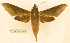  ( - BC-Hax5571)  @11 [ ] CC-by (2023) Jean Haxaire Research collection of Jean Haxaire
