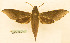 ( - BC-Hax5572)  @11 [ ] CC-by (2023) Jean Haxaire Research collection of Jean Haxaire