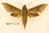 ( - BC-Hax5579)  @11 [ ] CC-by (2023) Jean Haxaire Research collection of Jean Haxaire