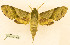  ( - BC-Hax5595)  @11 [ ] CC-by (2023) Jean Haxaire Research collection of Jean Haxaire