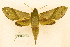  ( - BC-Hax5597)  @11 [ ] CC-by (2023) Jean Haxaire Research collection of Jean Haxaire