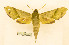  ( - BC-Hax5598)  @11 [ ] CC-by (2023) Jean Haxaire Research collection of Jean Haxaire