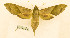  ( - BC-Hax5599)  @11 [ ] CC-by (2023) Jean Haxaire Research collection of Jean Haxaire