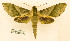  ( - BC-Hax5602)  @11 [ ] CC-by (2023) Jean Haxaire Research collection of Jean Haxaire