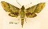  ( - BC-Hax5603)  @11 [ ] CC-by (2023) Jean Haxaire Research collection of Jean Haxaire