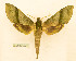  ( - BC-Hax5605)  @11 [ ] CC-by (2023) Jean Haxaire Research collection of Jean Haxaire
