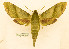  ( - BC-Hax5606)  @11 [ ] CC-by (2023) Jean Haxaire Research collection of Jean Haxaire