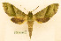  ( - BC-Hax5607)  @11 [ ] CC-by (2023) Jean Haxaire Research collection of Jean Haxaire