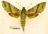  ( - BC-Hax5608)  @11 [ ] CC-by (2023) Jean Haxaire Research collection of Jean Haxaire