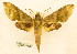  ( - BC-Hax5616)  @11 [ ] CC-by (2023) Jean Haxaire Research collection of Jean Haxaire