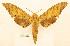  ( - BC-Hax5666)  @11 [ ] CC-by (2023) Jean Haxaire Research collection of Jean Haxaire