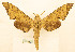  ( - BC-Hax5669)  @11 [ ] CC-by (2023) Jean Haxaire Research collection of Jean Haxaire