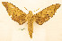  ( - BC-Hax5671)  @11 [ ] CC-by (2023) Jean Haxaire Research collection of Jean Haxaire