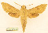  ( - BC-Hax5680)  @11 [ ] CC-by (2023) Jean Haxaire Research collection of Jean Haxaire