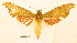  ( - BC-Hax5692)  @11 [ ] CC-by (2023) Jean Haxaire Research collection of Jean Haxaire