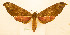  ( - BC-Hax5693)  @11 [ ] CC-by (2023) Jean Haxaire Research collection of Jean Haxaire